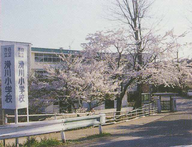 滑川小学校の桜